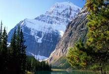 乐鱼官网-法网翻盘戴维斯杯，辛纳点燃赛场