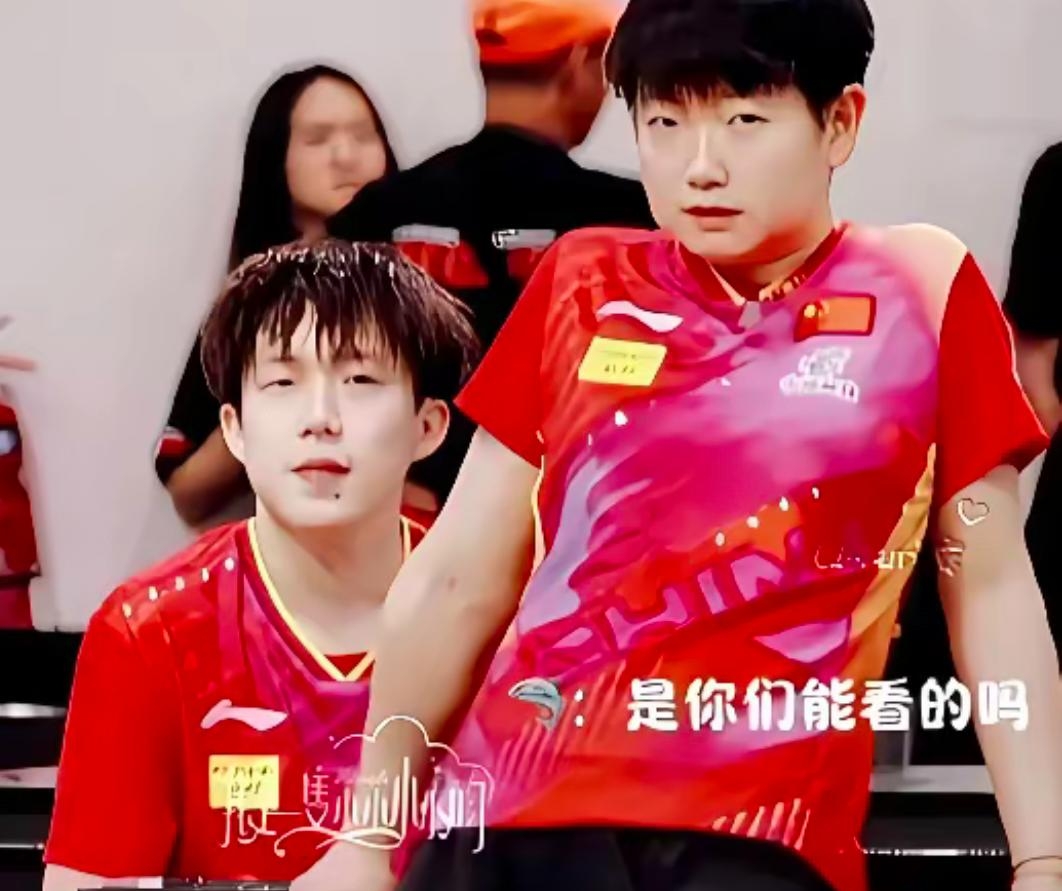 乐鱼-法国乒乓球队轻取中国乒乓球队,许昕绝境逆转的简单介绍