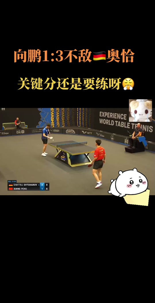 乐鱼 vip 注册-关于韩国乒乓球队鏖战瑞典乒乓球队,奥恰洛夫统治全场的信息